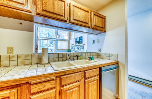 Warm Springs Condo | Newly-updated dog-friendly condo w/wood fireplace- walk to Warm Springs Lifts
