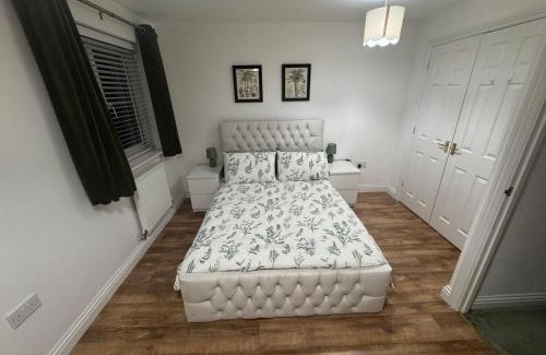 Newport House | Newport, South Wales