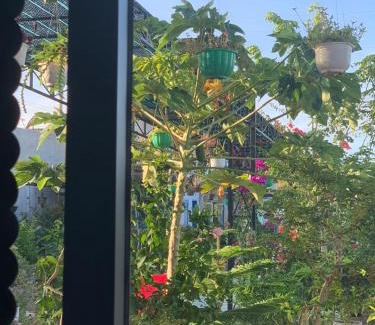 Ninh Hai Hotel | Nhà Du mục