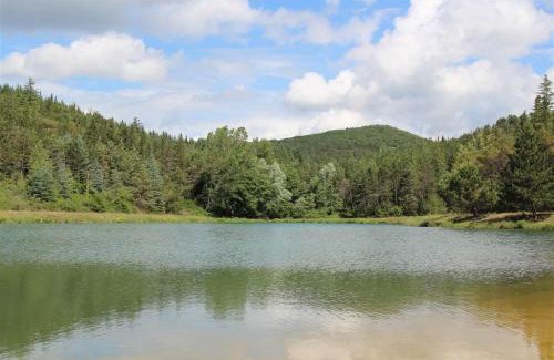 Gaiole in Chianti Apartment | Nicchio
