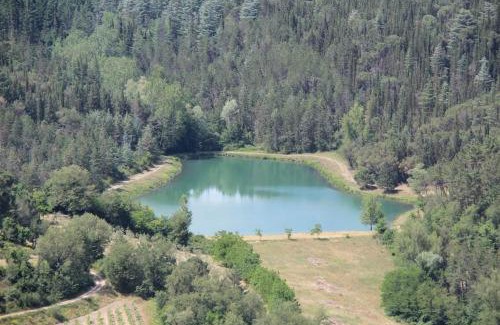 Gaiole in Chianti Apartment | Nicchio