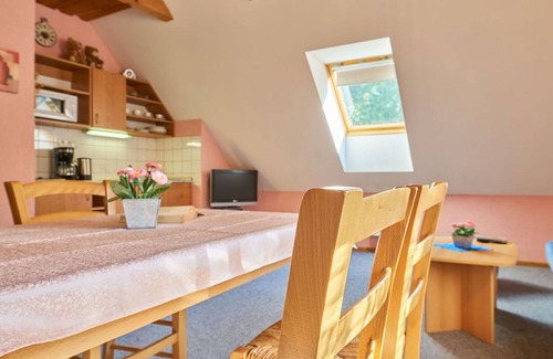 Starkov Villa | Nice apartment in villa for 4 people with WIFI, pool, TV, patio, pets allowed and parking