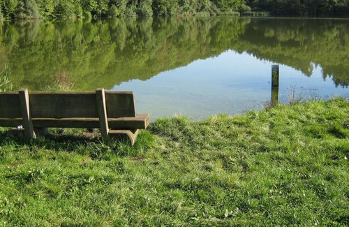 Immerath Apartment | Nice apartment for 7 guests with WIFI, TV, terrace, pets allowed and parking