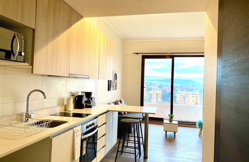 Valdivia Apartment | Nice apartment Isla Teja, Valdivia with dock, direct access to the Cruces river.