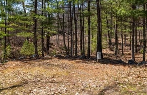 Neillsville RV Rental | Nice camp site located on the Riviera Resort