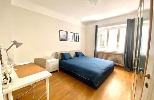 Ville Haute Apartment | Nice Flat in the heart of the City