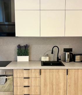 Bucharest City-Centre Apartment | NIce Flat in Villa Near Old Town