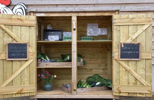 Municipality of Oirschot House | Nice Tiny Home located next to its own food forest