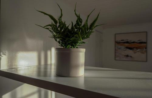 Zarcero Apartment | Nido del Parque, Zarcero
