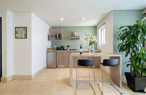 Miguel Hidalgo Apartment | Nido Parque Lincoln