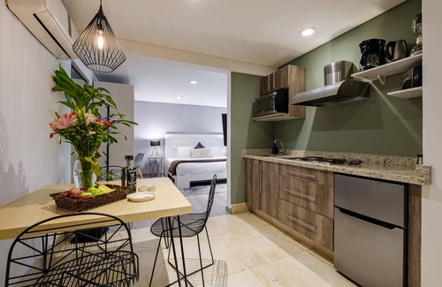 Miguel Hidalgo Apartment | Nido Parque Lincoln