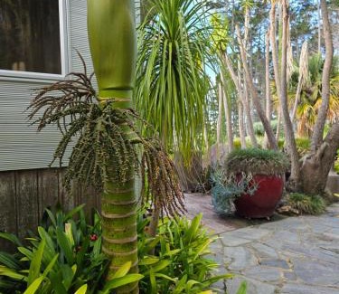 Waiheke Island Apartment | Nikau Apartments Waiheke Island