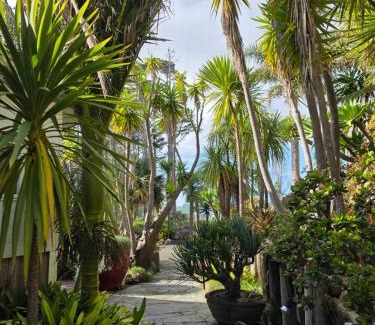 Waiheke Island Apartment | Nikau Apartments Waiheke Island