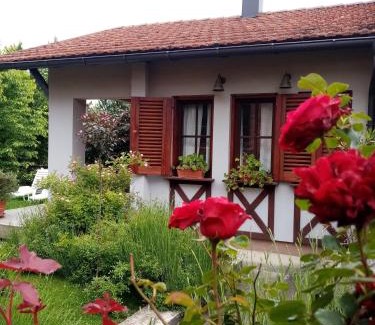 Bajina Basta Apartment | NIKOLIJA 1
