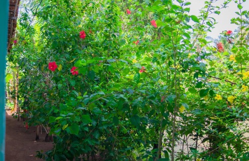 Nilaveli House | Nilaveli Beach Inn