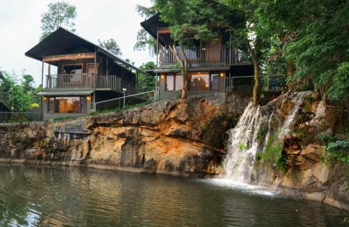 Kalpetta Resort | Niyatma Wayanad Pool Resort by VOYE HOMES - Inside Coffee Plantation