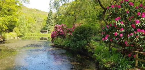 Liskeard House | No 4 Trelawney Apartment - Onsite Bar - Restaurant - Horse Riding