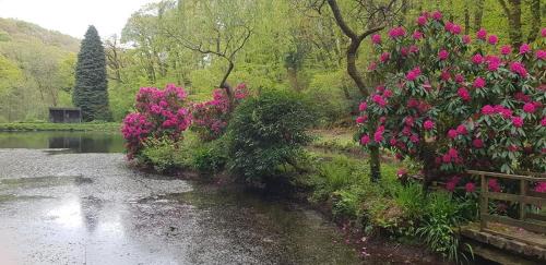 Liskeard House | No 4 Trelawney Apartment - Onsite Bar - Restaurant - Horse Riding
