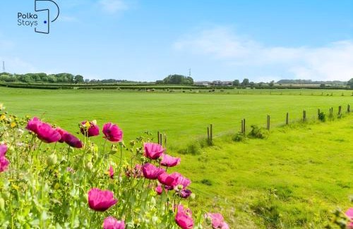 Lytham St. Anne's House | No 8 PolkaStays Ivy Farm Primrose Deluxe
