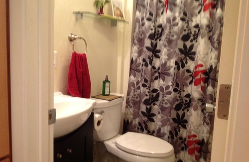 Cedar Ridge Apartment | NO CLEANING FEE! Charming Creek Side Studio Near Lakes, Rivers, Downtown