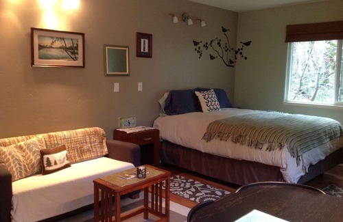 Cedar Ridge Apartment | NO CLEANING FEE! Charming Creek Side Studio Near Lakes, Rivers, Downtown