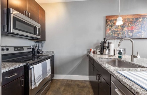 Roanoke Apartment | No Cleaning Fee! Prime Location Downtown Luxurious