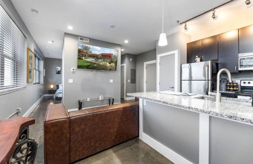 Roanoke Apartment | No Cleaning Fee! Prime Location Downtown Luxurious