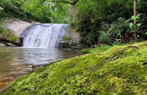 Marshall Cabin | "No Crowds"-120 Private acres, Waterfall, streams and lots of hiking trails