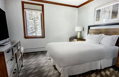 Peak 9 Cabin | NO EXTRA FEES! 2br Sleeps 6 Ski In/Out on Peak 9- hot tubs, shuttle, spa, etc!