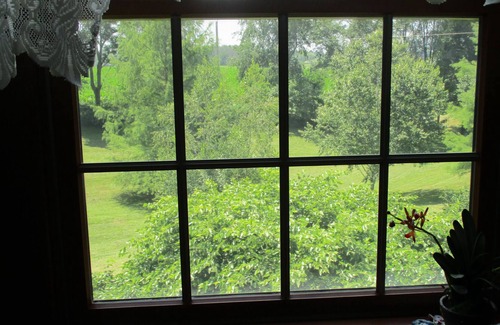Mount Vernon Apartment | No Ordinary Manor in Central Ohio - A Homey, Executive Apartment