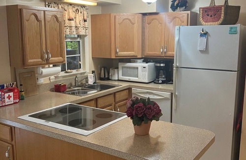 Bokeelia Apartment | No Rat Race here at the Royal Flush.