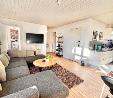 Vejle Apartment | No3 VB Apartment