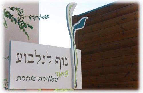 Beit HaShita Cabin | Nof LaGilboa