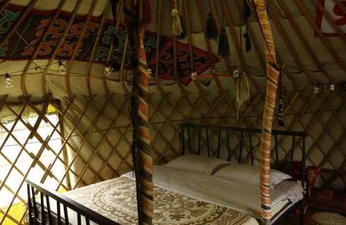 Tuzdybastau Other | Nomad Yurt, 60 year old