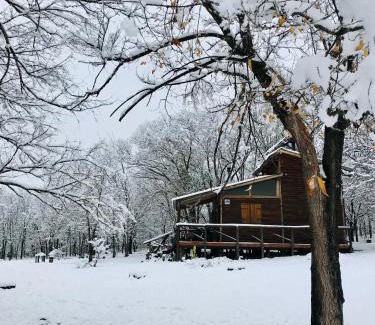 San Antonio de Arredondo Ski Chalet | NOMADE cabin rent