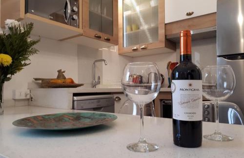 Providencia Apartment | #NomadLife en Providencia Apartamento Flexible