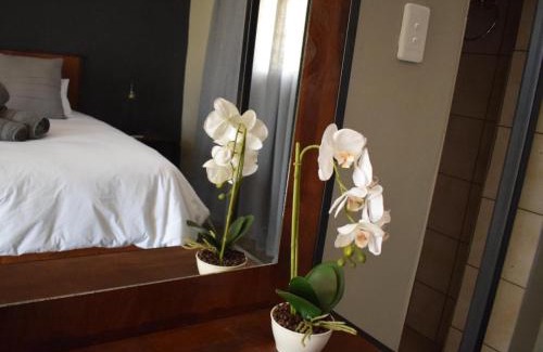 Colesberg House | Nooitgedacht Town Lodge