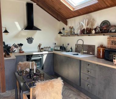 Llanybri Apartment | Nordic Nest