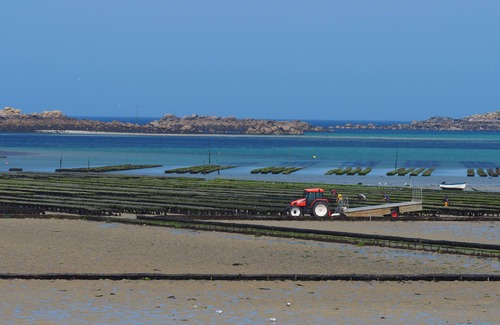 Landeda Apartment | North Finistere. Landéda. Seaside and beach studio