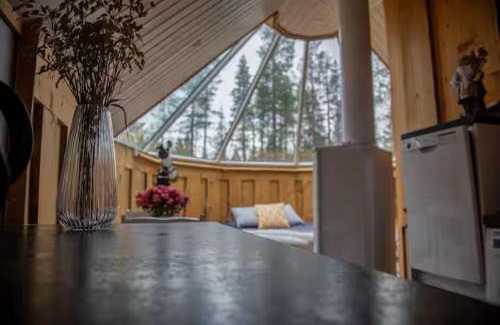 Saariselka Ski Chalet | North Frontier Aurora Hut Kota