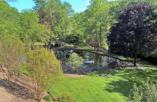 Hiawassee Cabin | North GA Mountain Paradise Natural Swimming Pool and Stream