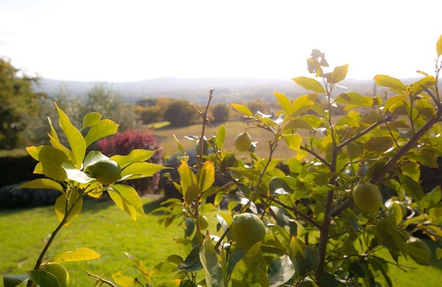 Sutri Villa | NORTH OF ROME IN THE HEART OF TUSCIA