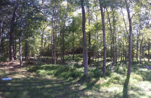 North Raleigh House | North Raleigh home in Wakefield Plantation Culd-de-sac lot in private wooded lot
