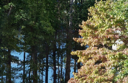 Northlake Condo | NORTHLAKE CAPTAIN'S QUARTERS has 3 bedrooms and 2 full baths to accommodate 6.
