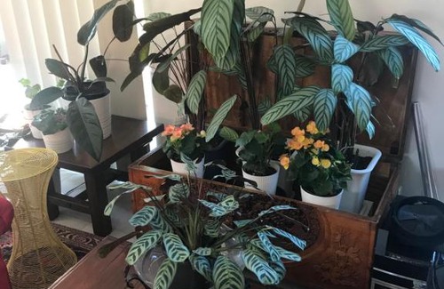 West Richmond Bed & Breakfast | Not quite the Ritz