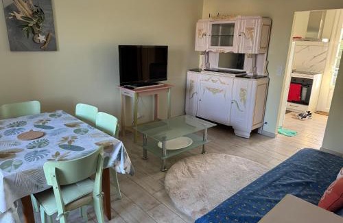 Notre-Dame-de-Monts Apartment | Notre Dame de Monts proche plage