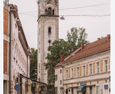 Mali Radic Apartment | Nova Apartman