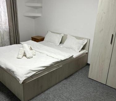 Azuga Apartment | Nova Montan Azuga