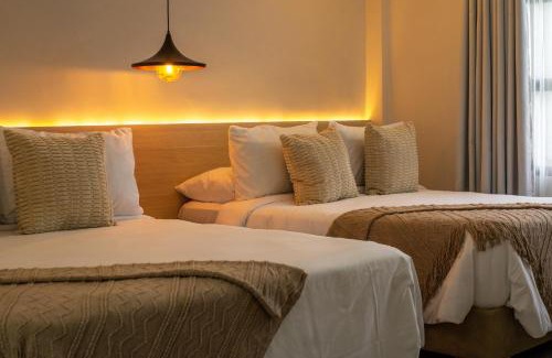 Riohacha Hotel | Novo Hotel Boutique