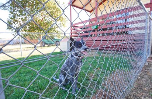 Dubbo Resort | NRMA Dubbo Holiday Park